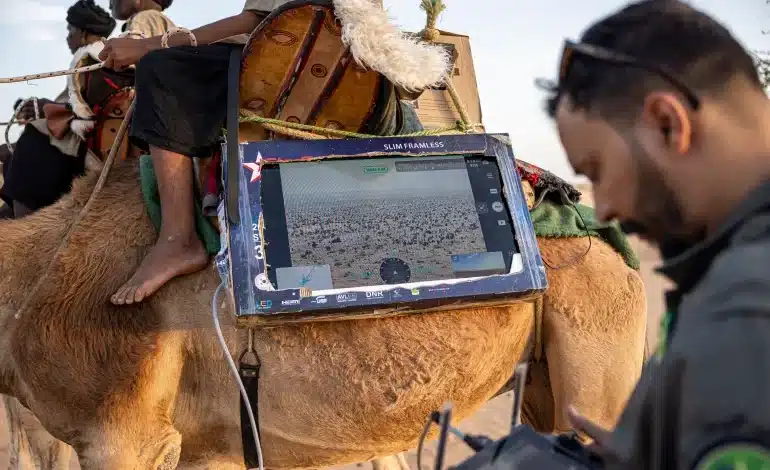 Sécurité au Sahel : quelle stratégie face à l’instabilité chronique ?