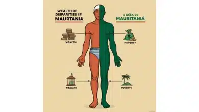 Photo de Chronique | Une richesse sans reflets : la Mauritanie des laissés-pour-compte