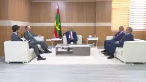 L'audience s'est déroulée en présence du député M. Mohamed Abdellahi El Ghailany, Président du groupe parlementaire d’amitié Mauritanie-Espagne et de M. Mohamed Yahya Ould HAYE, Chargé de mission à l'Assemblée nationale.