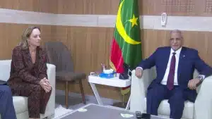 Le Président de l'Assemblée nationale reçoit la Vice-présidente de la Commission du Développement du parlement européen