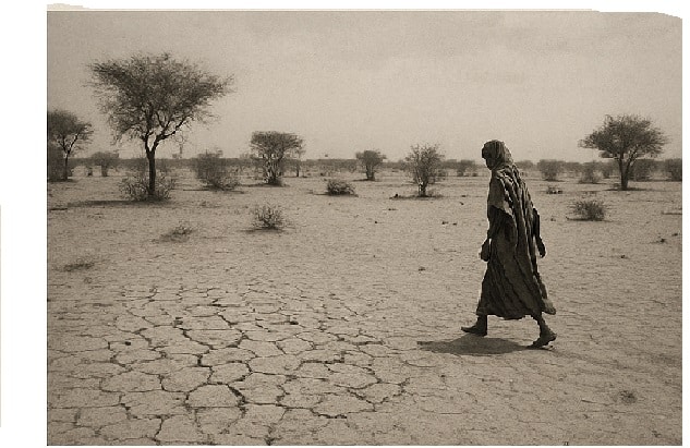 Une femme traverse une terre aride dans le sud de la Mauritanie, où la désertification menace gravement l’agriculture et les moyens de subsistance locaux.