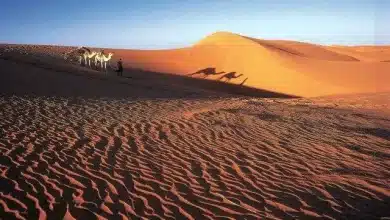 Photo de Horizons Nomades : Une aventure authentique en Mauritanie