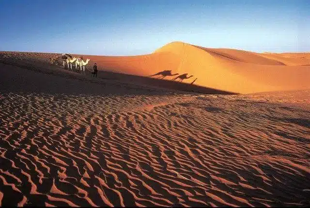 Horizons Nomades : Une aventure authentique en Mauritanie