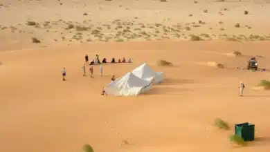 Photo de التصحر يلتهم 80% من موريتانيا.. خطة حكومية لمواجهته