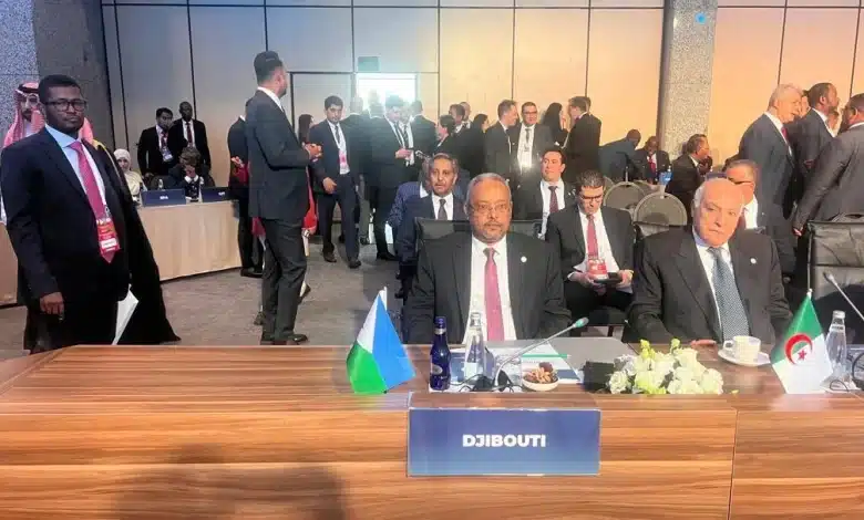 51e session du Conseil des ministres de l’OCI : Djibouti réaffirme son engagement pour la cause palestinienne