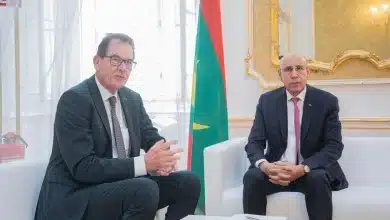 Photo de غزواني يلتقي في فيينا مدير منظمة الأمم المتحدة للتنمية الصناعية