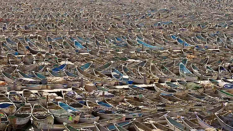  Port artisanal de Nouadhibou : des milliers de petits bateaux de pêche se préparent pour une nouvelle saison dans l’une des zones de pêche les plus riches au monde Port artisanal de Nouadhibou : des milliers de petits bateaux de pêche se préparent pour une nouvelle saison dans l’une des zones de pêche les plus riches au monde Tous droits réservés Euronews