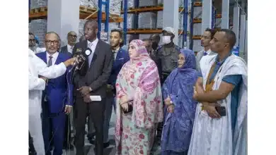 Photo de Ministre des Mines : L’industrie nationale connaît un bond qualitatif à tous les niveaux