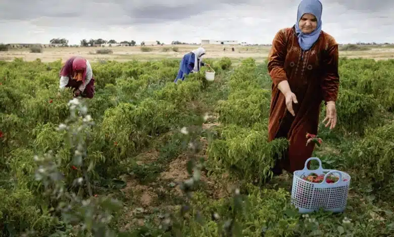 La Tunisie renforce sa coopération agricole avec la Mauritanie