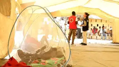 Photo de Rosso face à l’urgence migratoire : un système à bout de souffle et des appels pressants à la solidarité régionale