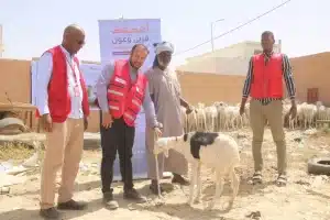 Des volontaires du Croissant-Rouge inspectent des moutons destinés à être distribués à l’occasion de l’Aïd El-Adha.