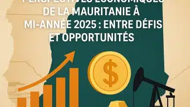 Photo de Perspectives économiques de la Mauritanie à mi-année 2025 : entre défis et opportunités