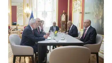 Photo de Rencontre entre le Président Ghazouani et son homologue autrichien à Vienne