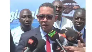 Photo de Renforcement de la Résilience aux Changements Climatiques dans la Région du Fleuve Sénégal