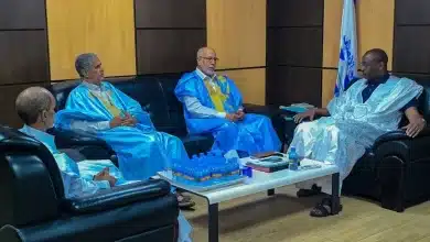 Photo de Rencontre entre El Insaf et une délégation sahraouie pour renforcer les relations bilatérales