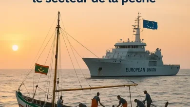 Photo de Coopération Mauritanie-UE : Nouvel élan pour la pêche durable en Mauritanie