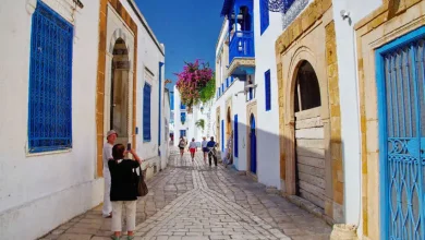 Photo de Le tourisme et les transferts des Tunisiens à l’étranger couvrent plus de 80 % de la dette extérieure, selon Dorra Milad