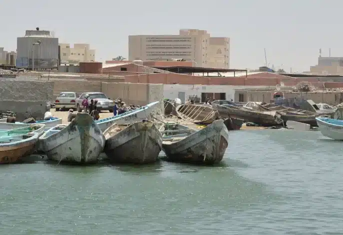 وزارة الصيد تعقد ورشة بانواذيبو حول المخطط التوجيهي للبنى التحتية للقطاع بمشاركة واسعة للفاعلين