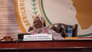 Première Vice-Présidente, S.E. Dr Fatimetou Habib