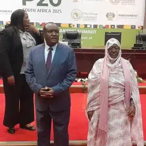 La délégation de l’Assemblée nationale mauritanienne en Afrique du Sud