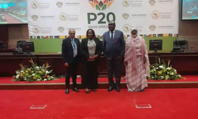 La délégation de l’Assemblée nationale mauritanienne au P20 South Africa