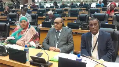 Photo de Une voix africaine unifiée face aux enjeux globaux : session stratégique du Parlement panafricain à Midrand