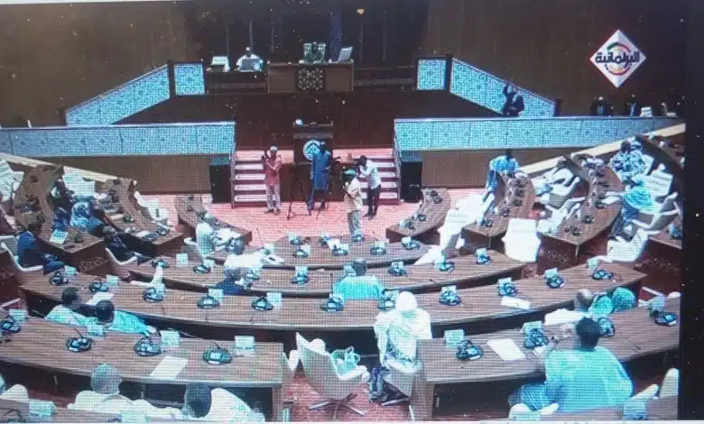 Assemblée nationale (capture d'écran)
