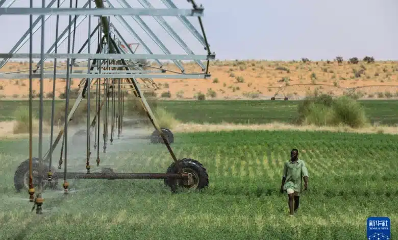 Un éleveur vérifie un système d’arrosage dans un champ de luzerne au Centre des technologies d’élevage d’Idini, en Mauritanie.