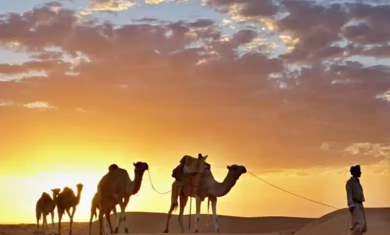 Mauritanie 2030 : Quatre scénarios entre espoir, surplace et dérive