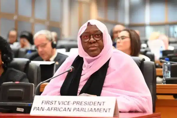 Réunion de concertation entre le Conseil de paix et de sécurité de l'Union Africaine et le Parlement panafricain