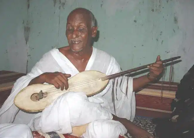 Joueur de tidinit mauritanien, gardien d'une mémoire musicale ancestrale