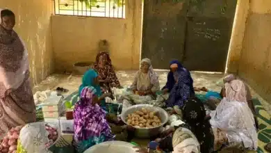 Photo de Chapitre 10 : Le nouveau repas