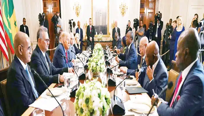 Le 9 juillet, le président des États-Unis Donald Trump a ouvert à la Maison Blanche un mini-sommet de trois jours avec les dirigeants du Gabon, de la Guinée-Bissau, du Liberia, de la Mauritanie et du Sénégal