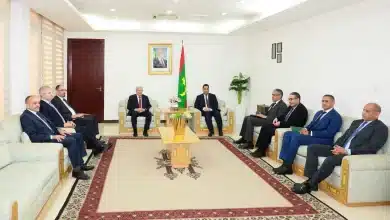Photo de موريتانيا والجزائر تعززان تعاونهما الطاقوي: لقاء الوزير الأول مع مدير سوناطراك