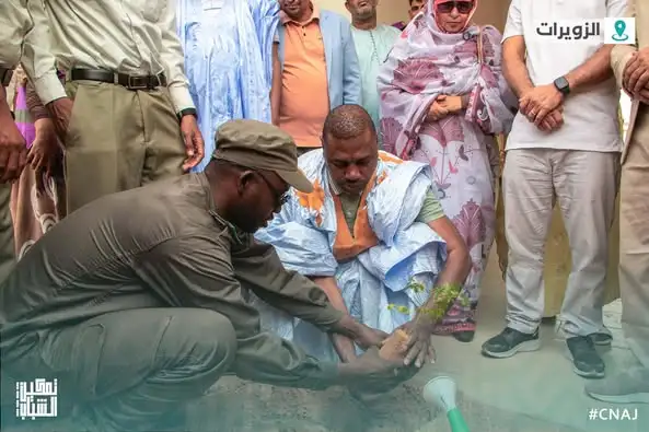M. Nagi Ould Khattry, accompagné du Wali de la région de Tiris Zemmour, M. Teyib Ould Mohamed Mahmoud, a supervisé aujourd’hui à Zouerate une activité de reboisement sur la place de la Maison des jeunes