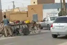 Photo de Insalubrité à Nouakchott : Un Environnement Préoccupant