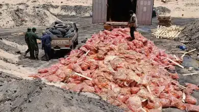 Photo de Destruction de 27 tonnes de carottes avariées dans la banlieue de Nouadhibou
