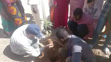 Photo de Énergies renouvelables en Mauritanie : état des lieux et ambitions vertes