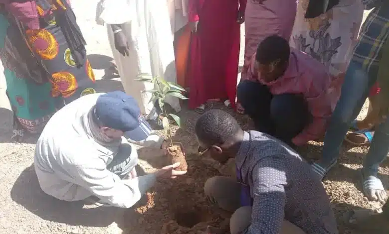 Énergies renouvelables en Mauritanie : état des lieux et ambitions vertes