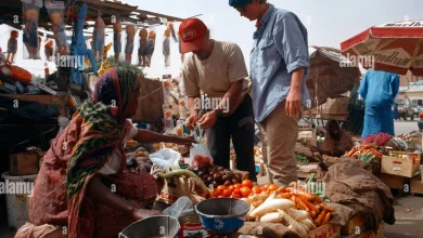 Photo de Prix des denrées alimentaires à Nouakchott : analyse des fluctuations du panier de la ménagère
