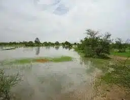Photo de موريتانيا.. أمطار متفاوتة على عدة مناطق