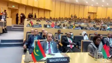 Photo de Représentant Son Excellence le Président de la République, le Secrétaire général du Ministère des Affaires étrangères participe au Sommet Afrique-Caraïbes à Addis-Abeba