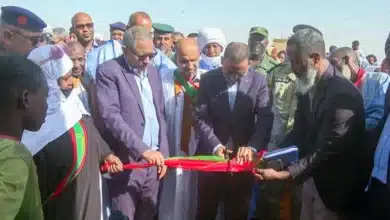 Photo de Hodh Chargui : Comment Taazour transforme la vie des villages mauritaniens