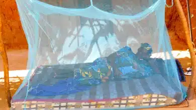 وزارة الصحة: تسجيل ثلاث وفيات بمرض حمى الوادي المتصدع والوضعية تحت السيطرة 3 Photo de وزارة الصحة: تسجيل ثلاث وفيات بمرض حمى الوادي المتصدع والوضعية تحت السيطرة