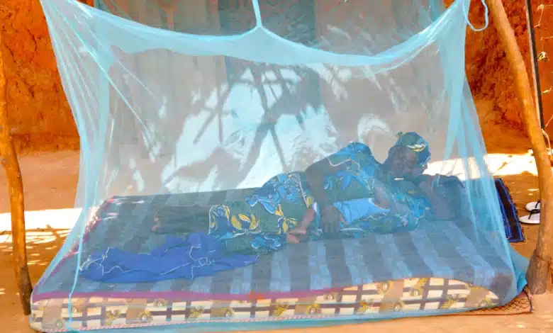 Photo de وزارة الصحة: تسجيل ثلاث وفيات بمرض حمى الوادي المتصدع والوضعية تحت السيطرة