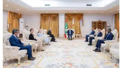 Photo de Audience du Président Ghazouani avec une délégation de l’ONU