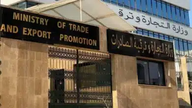 Photo de IATF 2025: arrivée à Alger de hauts responsables africains