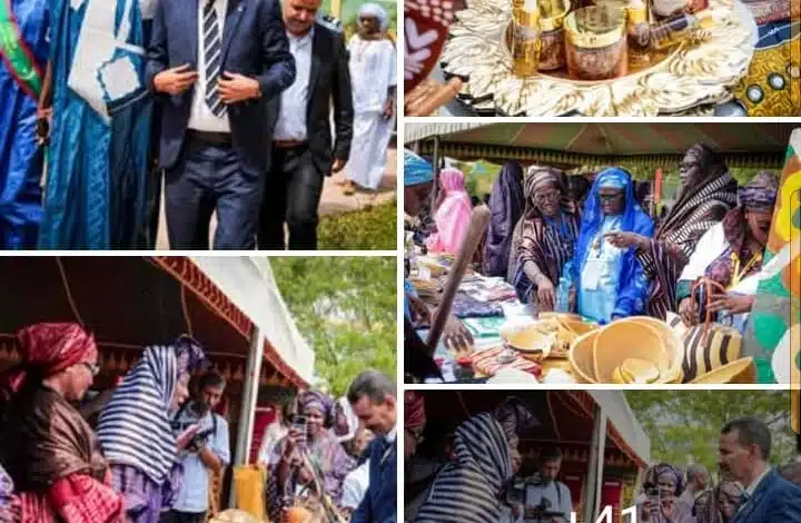 Célébration de la Journée Internationale de la Langue Soninké