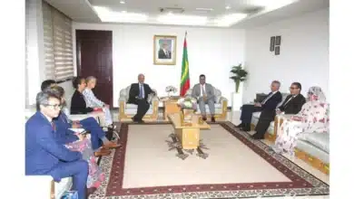 Photo de Audience du Premier ministre mauritanien avec le Rapporteur spécial de l’ONU sur les droits des migrants