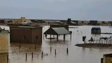 Photo de وفاة وخسائر مادية بفعل السيول والأمطار خلال الـ24 ساعة الماضية